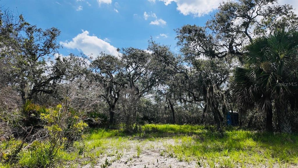 0 Clark Island Cedar Key, FL 32625 - Photo 19 of 24