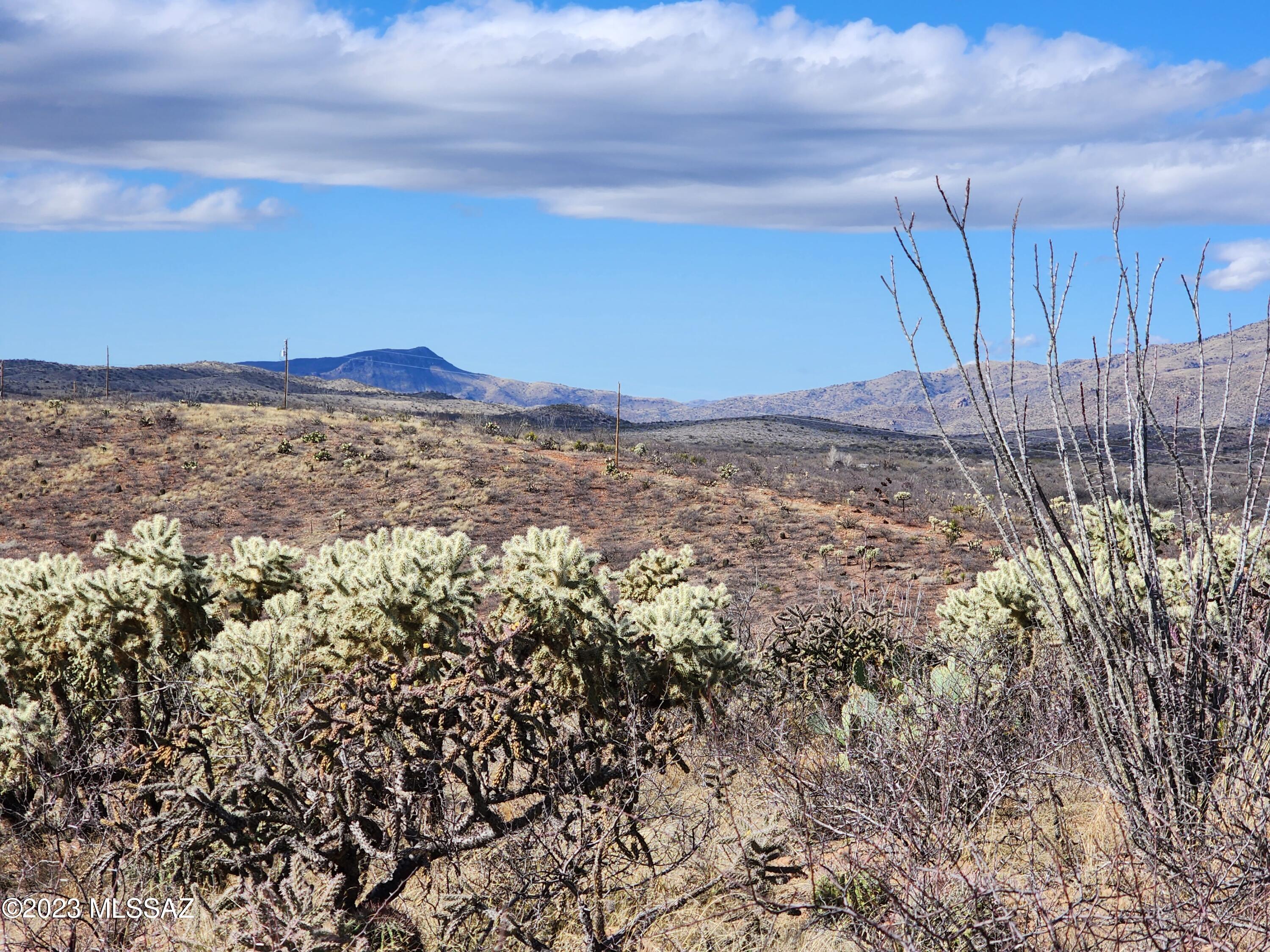 13791 South Bell Road Benson, AZ 85602 - Photo 19 of 39 Gallery Image 19