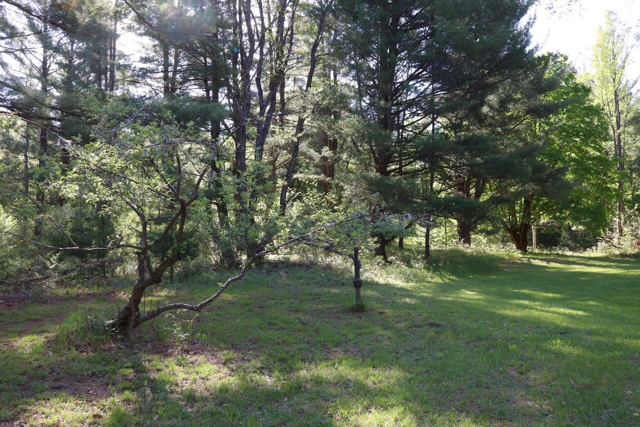 11547 1 Mile Road Leroy, MI 49655 - Photo 55 of 73 44_