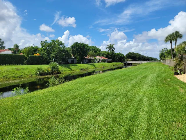 a view of a big yard with large tree and plants