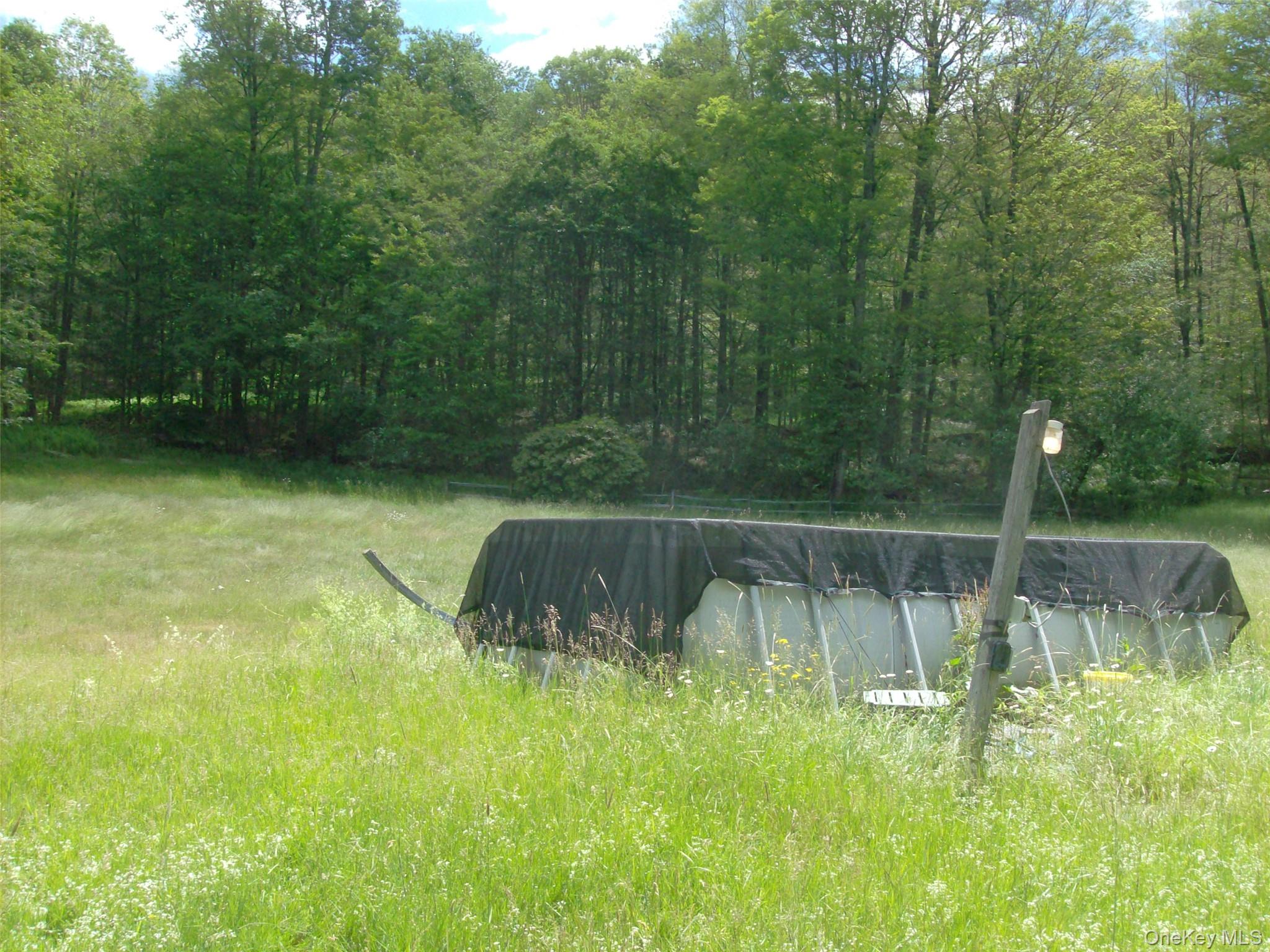 70 Bonnie Brook Road Roscoe, NY 12776 - Photo 9 of 33