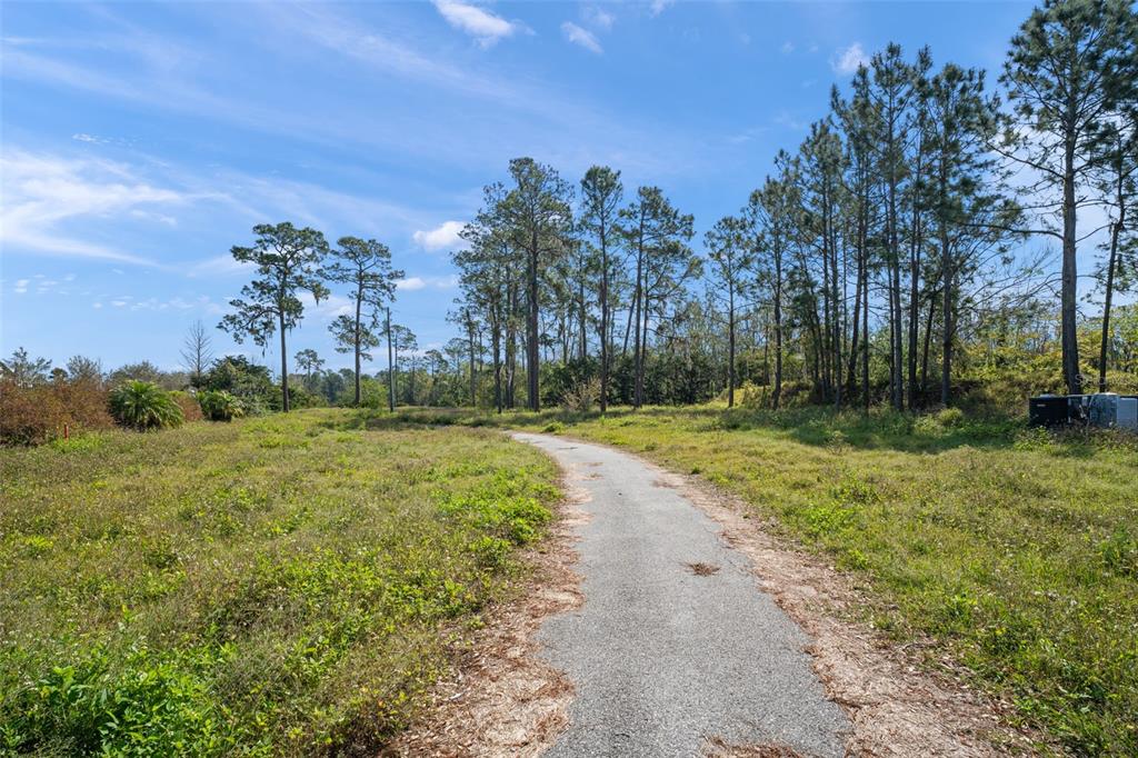 8750 Seidel Road Winter Garden, FL 34787 - Photo 11 of 17 a view of a yard with palm trees