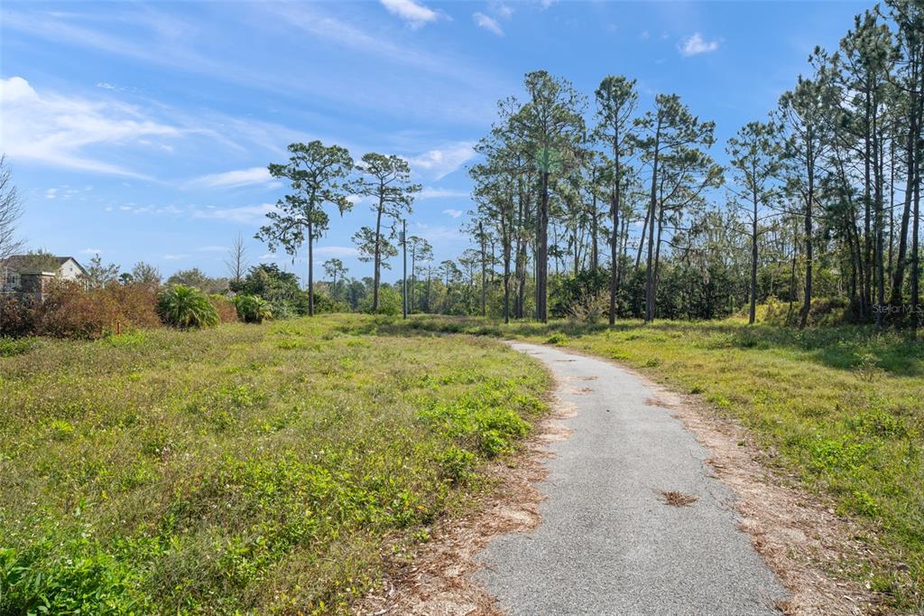 8750 Seidel Road Winter Garden, FL 34787 - Photo 12 of 17 a view of a yard with palm trees