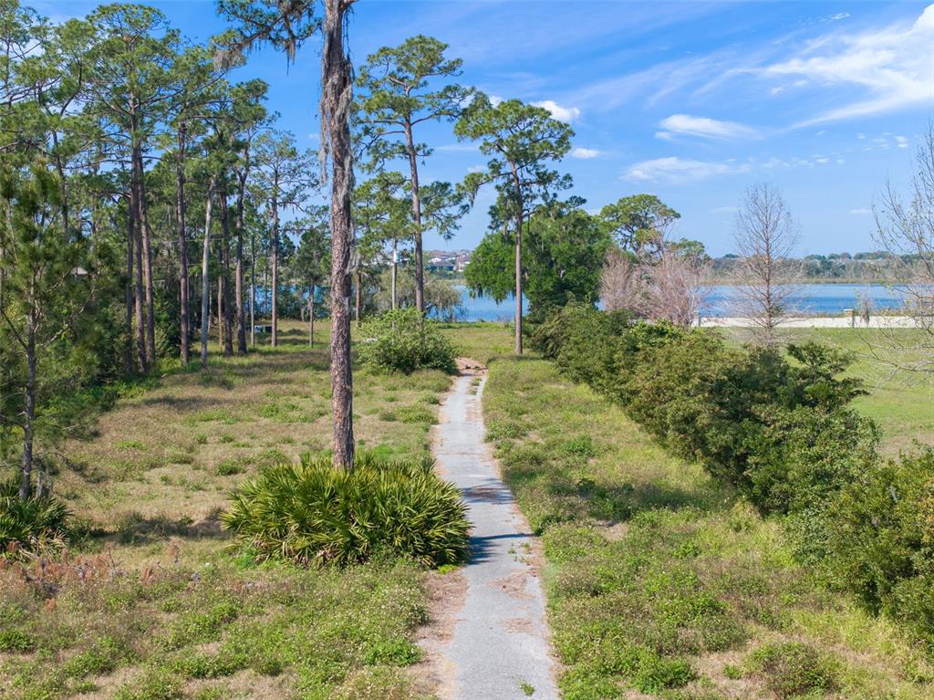 8750 Seidel Road Winter Garden, FL 34787 - Photo 8 of 17 a view of a park with large trees