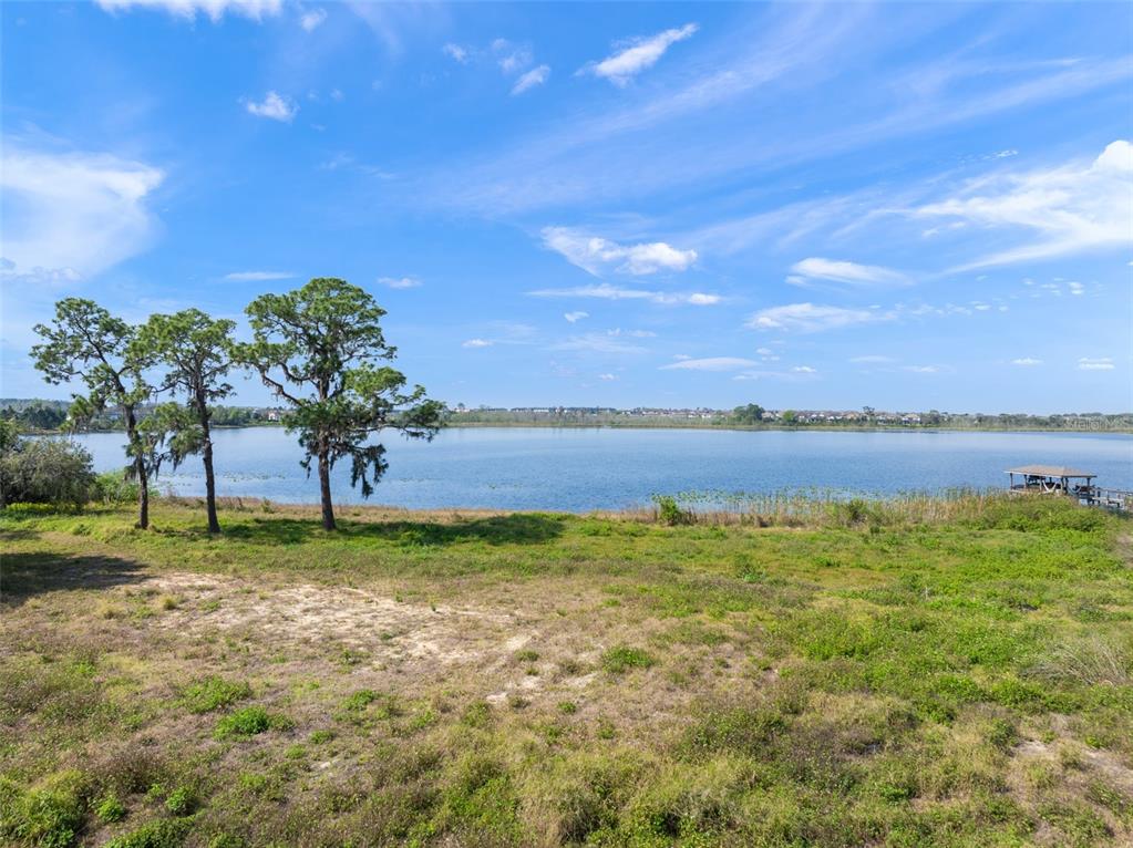 8750 Seidel Road Winter Garden, FL 34787 - Photo 10 of 17 a view of a yard with a house