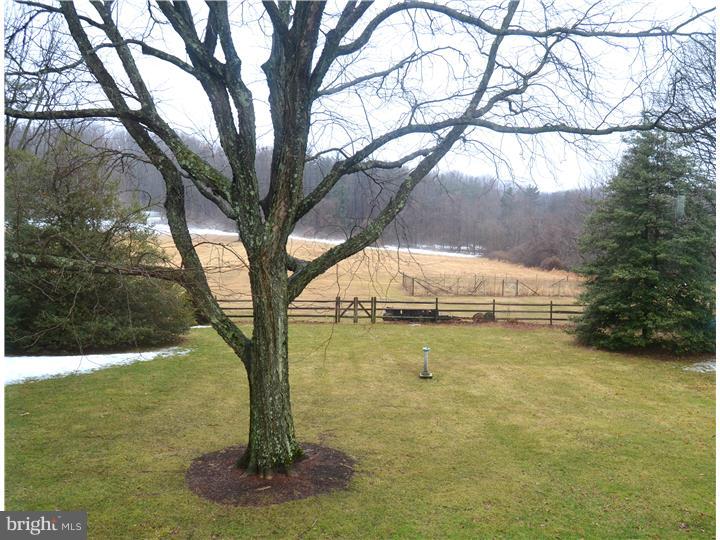 1041 Green Lane Road Malvern, PA 19355 - Photo 23 of 25 Back Yard