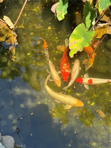 $2,000 | 665 North San Antonio Avenue, Upland, CA 91786