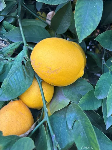 $2,000 | 665 North San Antonio Avenue, Upland, CA 91786