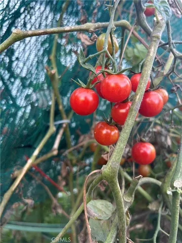 $2,000 | 665 North San Antonio Avenue, Upland, CA 91786