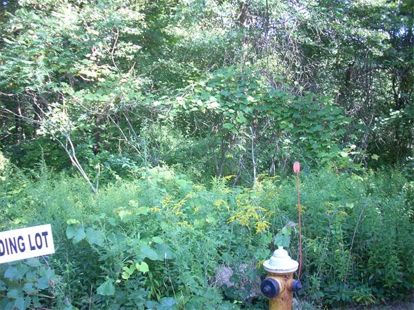 0 Lowell Road Groton, MA 01450 - Photo 1 of 19 Gallery Image 1