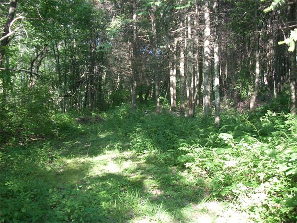 0 Lowell Road Groton, MA 01450 - Photo 13 of 19 Gallery Image 13