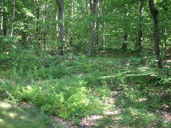 0 Lowell Road Groton, MA 01450 - Photo 17 of 19 Gallery Image 17