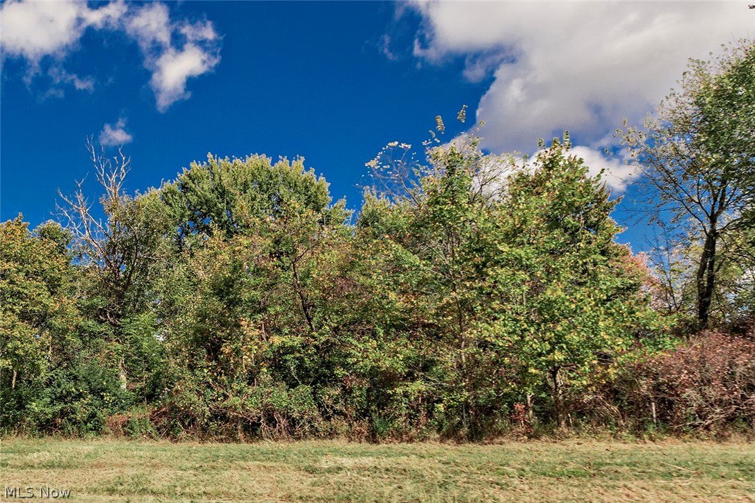 Schady Road Olmsted Falls, OH 44138 - Photo 2 of 2