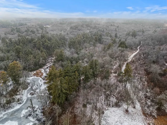 a view of a city with lush green forest