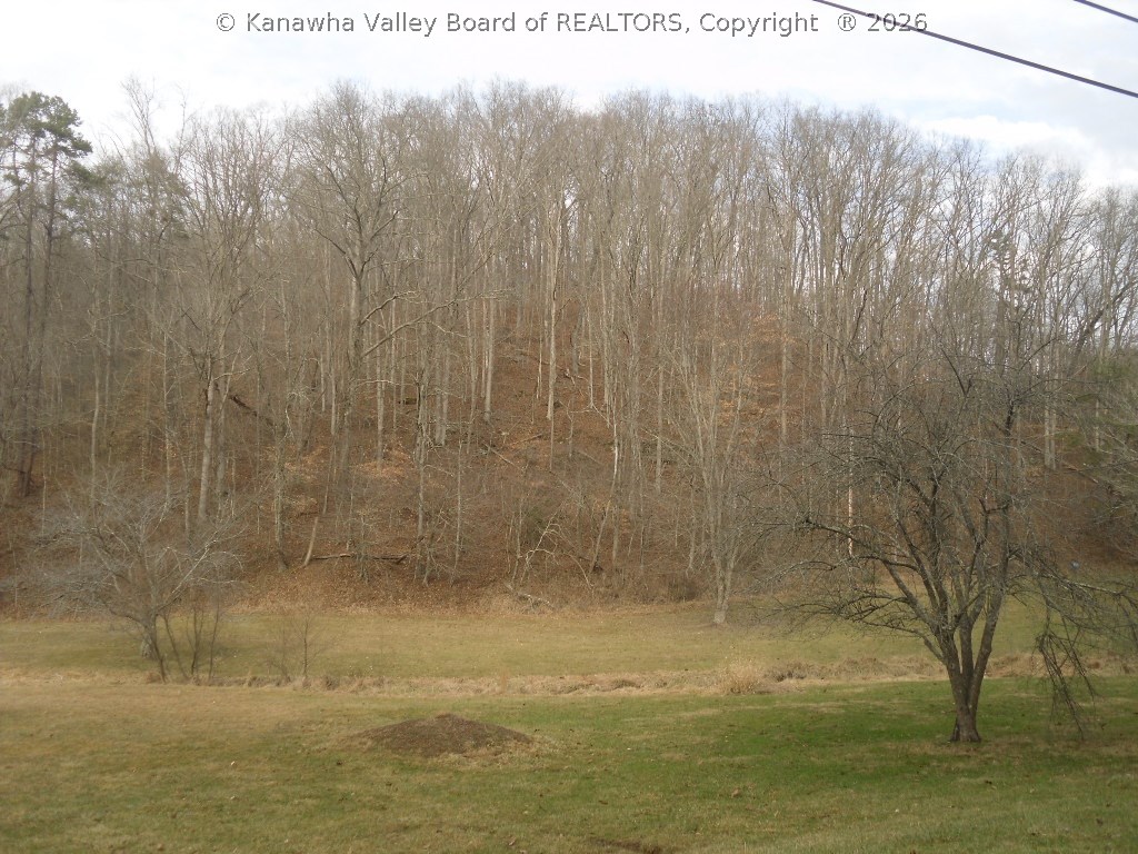 250A Brook Road South Charleston, WV 25309 - Photo 5 of 13 Gallery Image 5