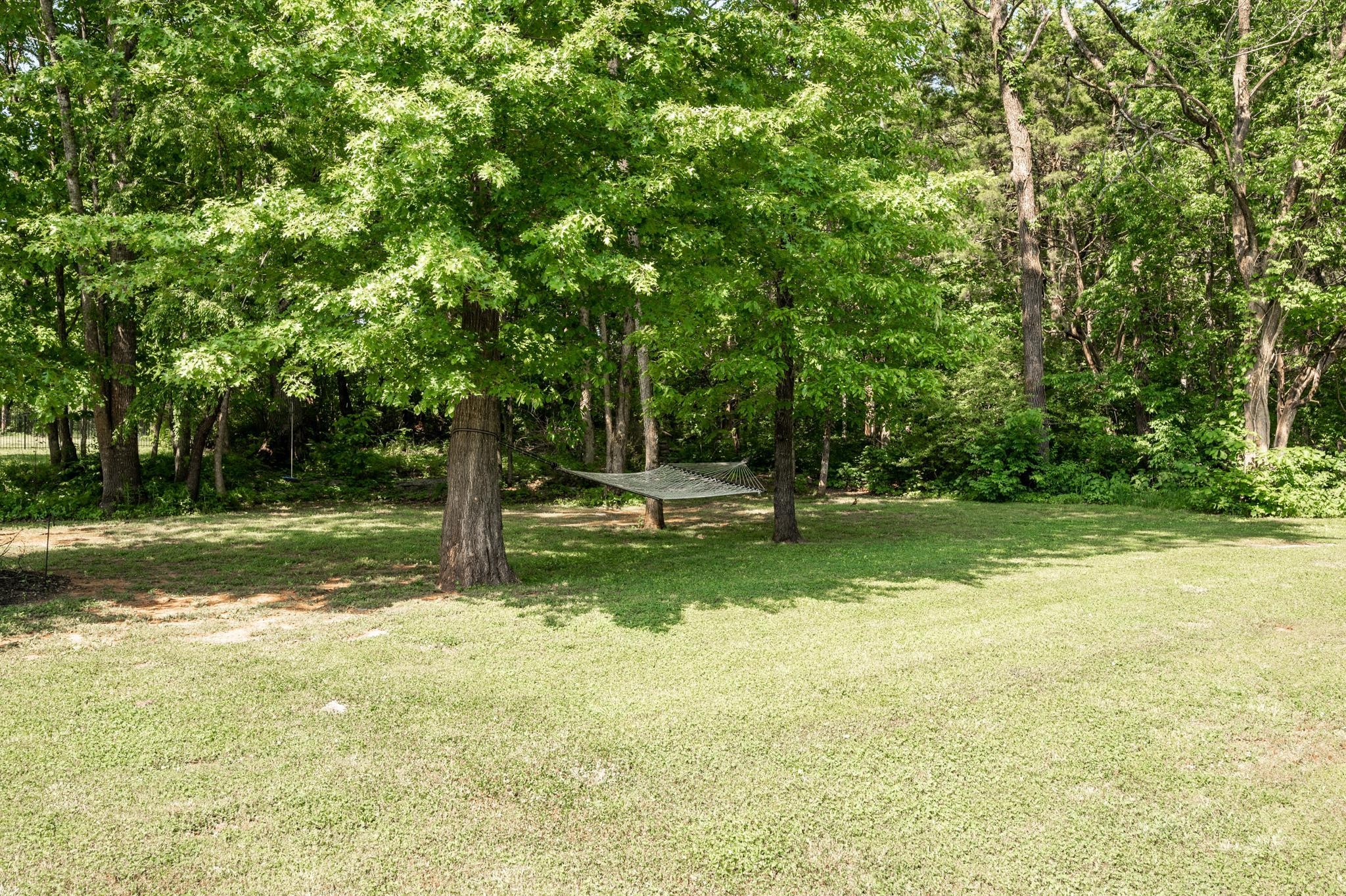 116 Rockingham Drive Murfreesboro, TN 37129 - Photo 33 of 40 a view of a yard with a tree