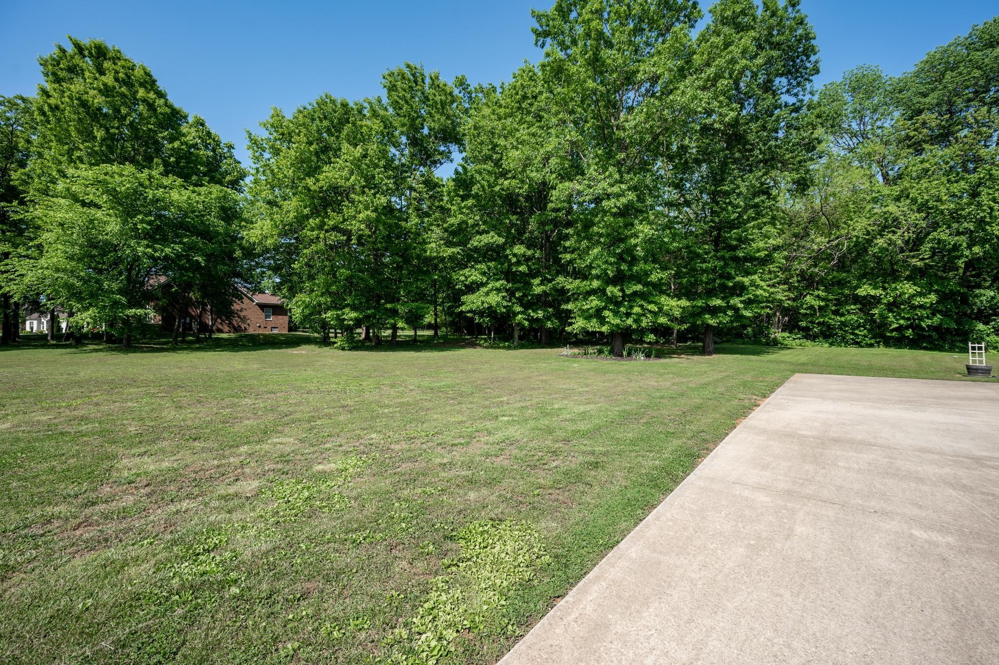 116 Rockingham Drive Murfreesboro, TN 37129 - Photo 34 of 40 a view of a garden with a