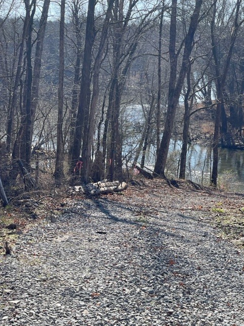 0 Stephens Creek Road Kelso, TN 37348 - Photo 3 of 9