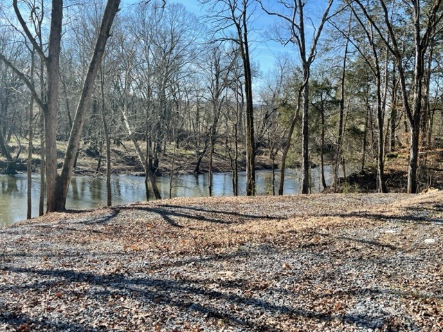 0 Stephens Creek Road Kelso, TN 37348 - Photo 4 of 9