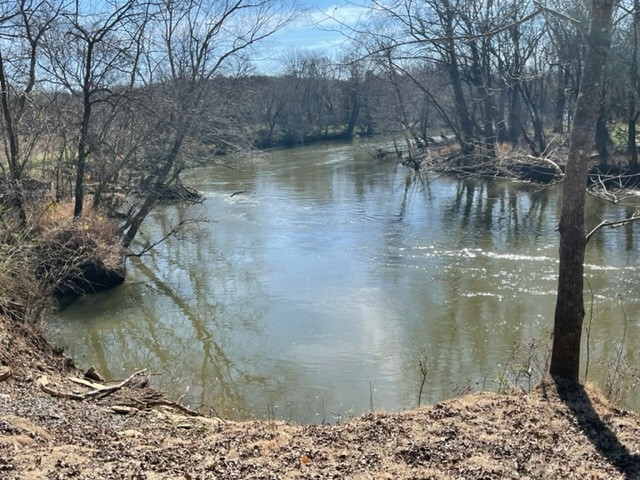0 Stephens Creek Road Kelso, TN 37348 - Photo 5 of 9
