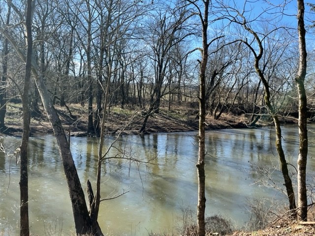 0 Stephens Creek Road Kelso, TN 37348 - Photo 7 of 9