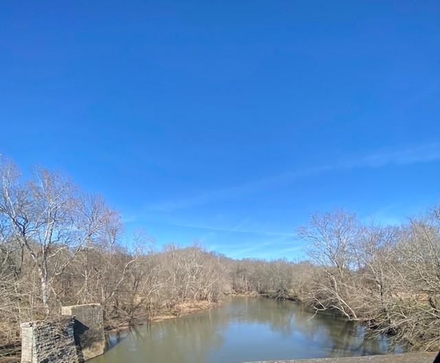 0 Stephens Creek Road Kelso, TN 37348 - Photo 8 of 9