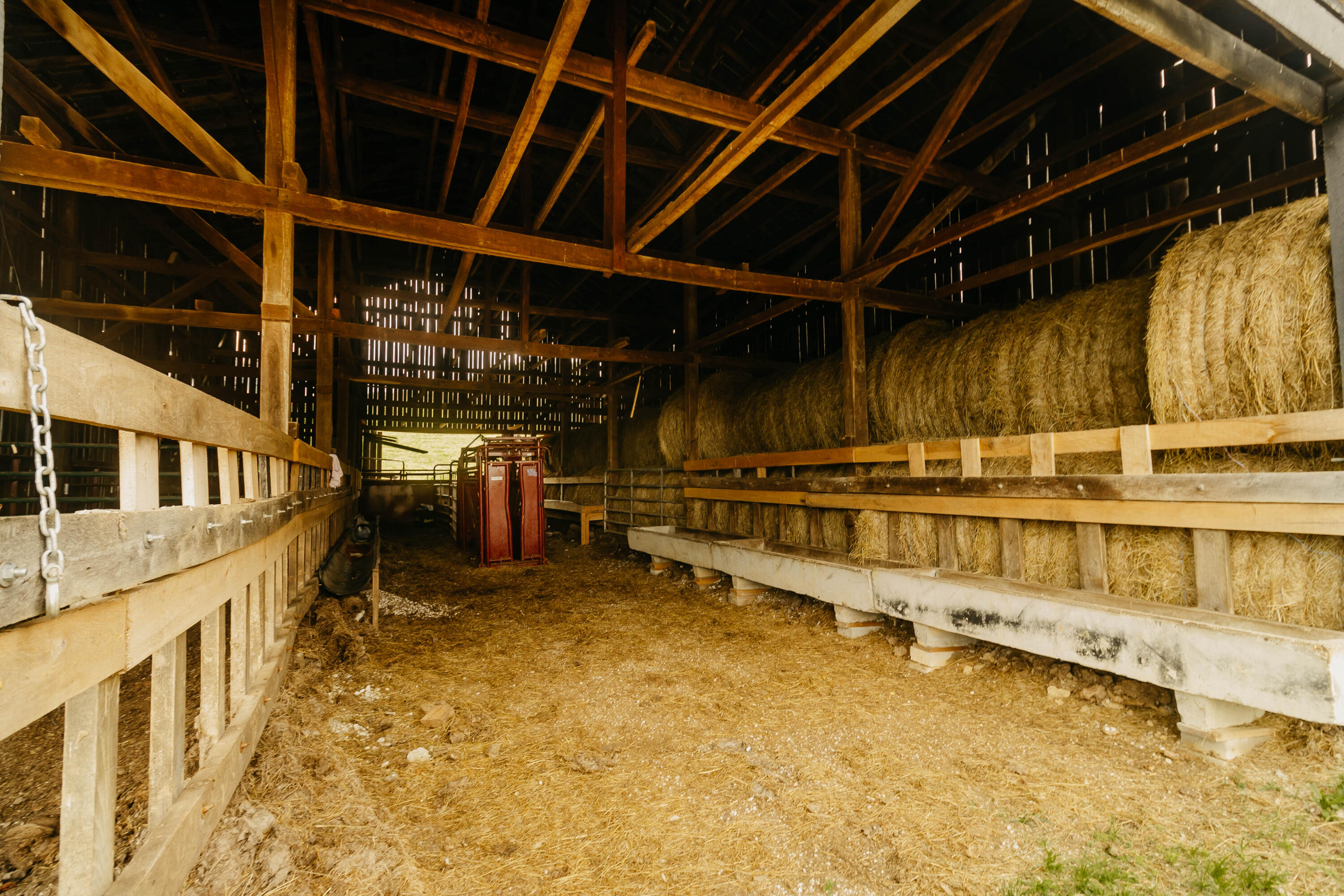 322 Clark Branch Road Campton, KY 41301 - Photo 53 of 63 KRPbw-8231