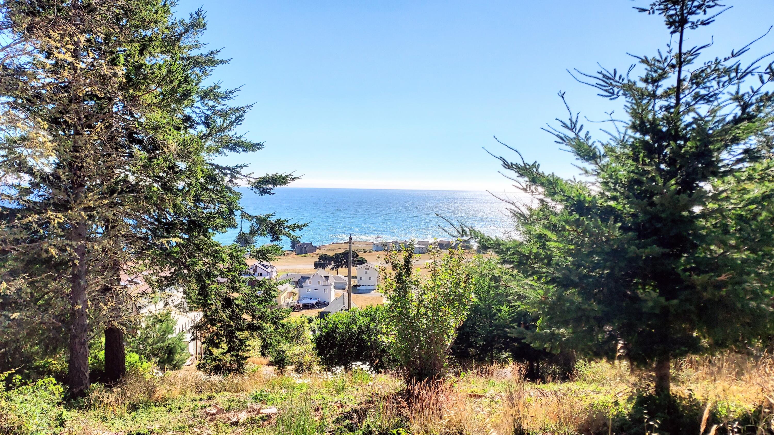 80 Shaker Road Shelter Cove, CA 95589 - Photo 1 of 9