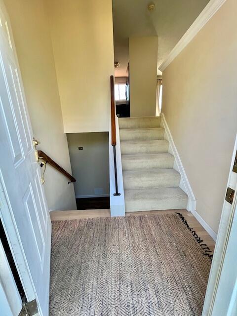 102 Tando Way Covington, KY 41017 - Photo 4 of 31 IMG_6910