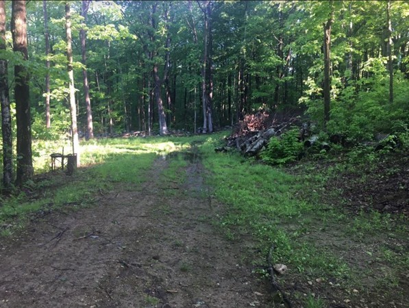 5 Moulton Mill Road Rutland, MA 01543 - Photo 2 of 5 Gallery Image 2