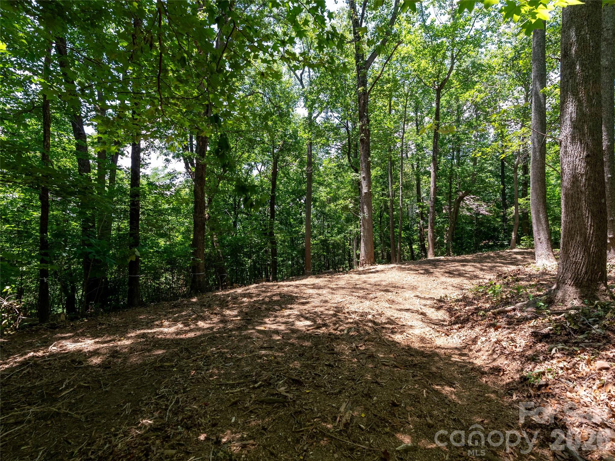 Lot 22 Plumley Summit Road, Unit 22 Landrum, SC 29356 - Photo 16 of 27
