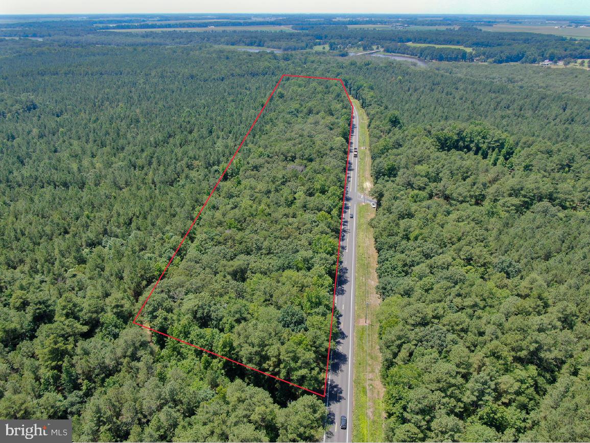 Harrison Ferry Road Federalsburg, MD 21632 - Photo 1 of 2 Gallery Image 1