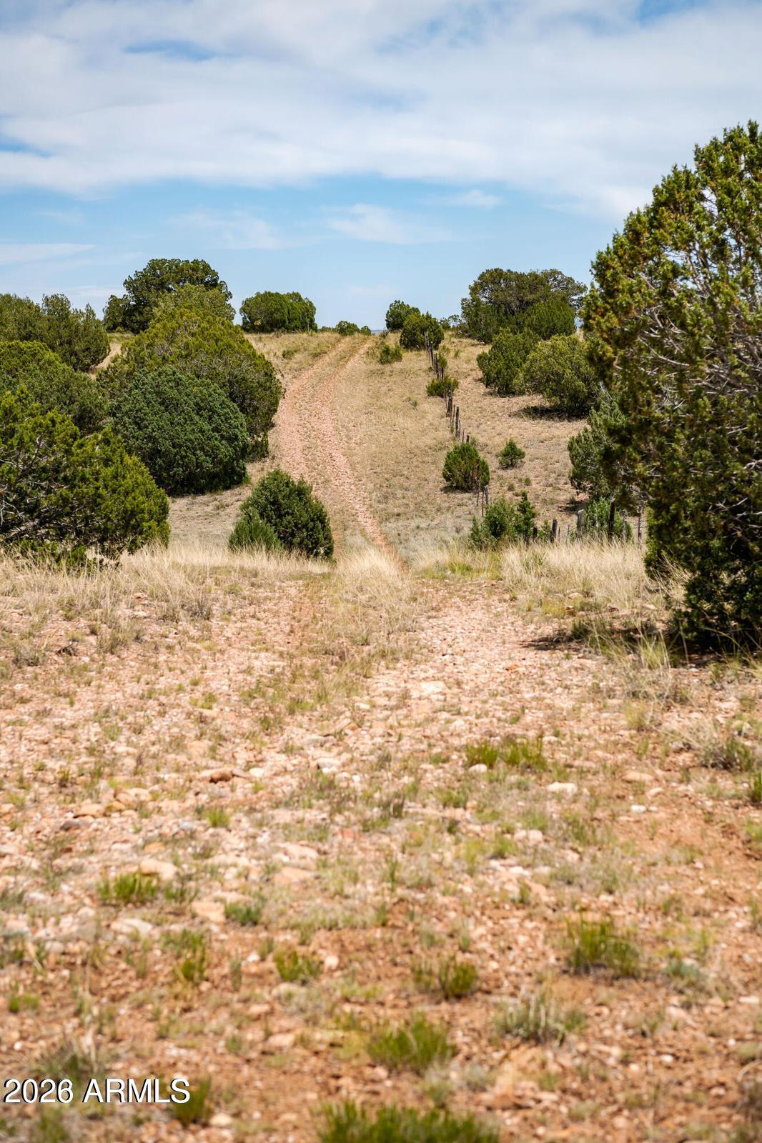 B Pine Ridge Trail, Unit 50 Seligman, AZ 86337 - Photo 4 of 20 20230621213848767884000000-o
