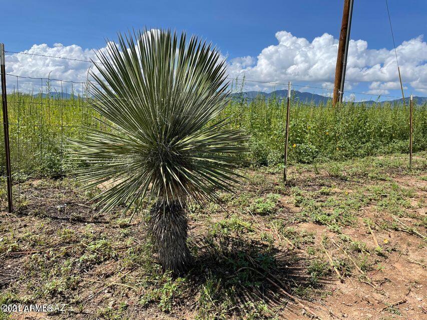 722 Rising Street, Unit 13 Pearce, AZ 85625 - Photo 37 of 49 37
