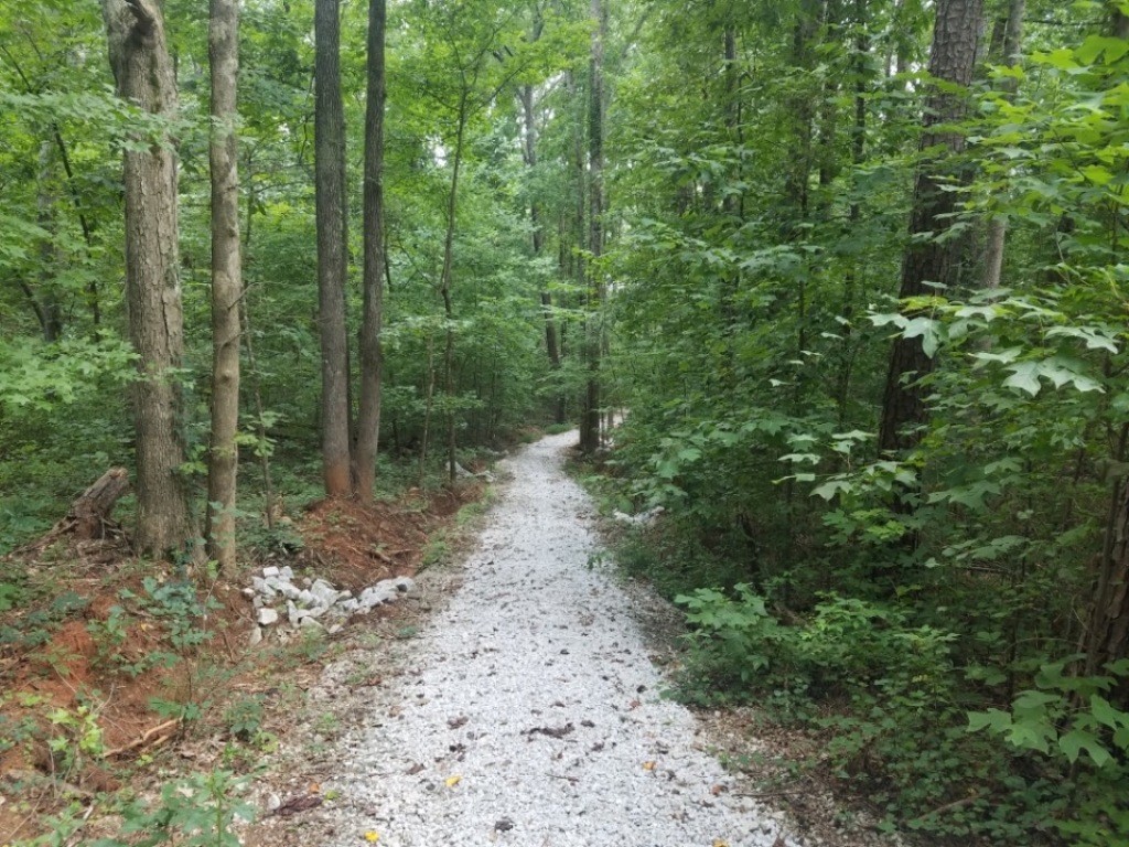 Lot 5 Hunters Ridge Drive Fair Play, SC 29643 - Photo 2 of 15 Cart path to boat slips