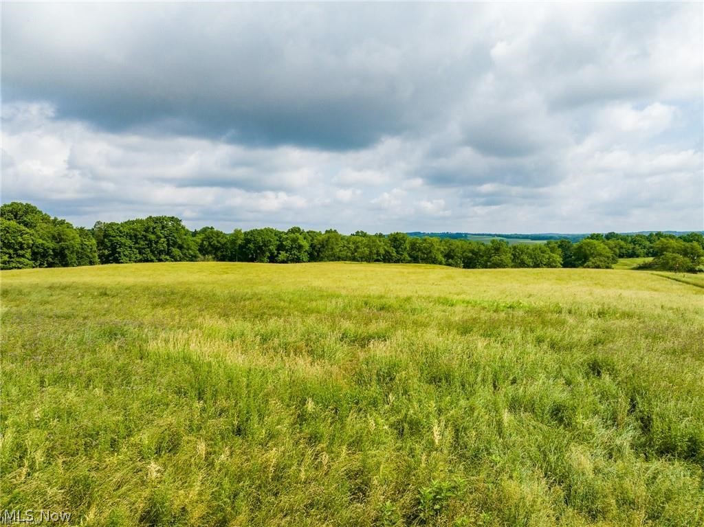 Heyl Road Wooster, OH 44691 - Photo 6 of 10 View of undeveloped land with rural landscape