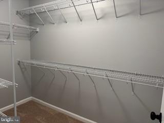 109 Glen Ridge Road Winchester, VA 22602 - Photo 16 of 20 Primary Bedroom closet 2