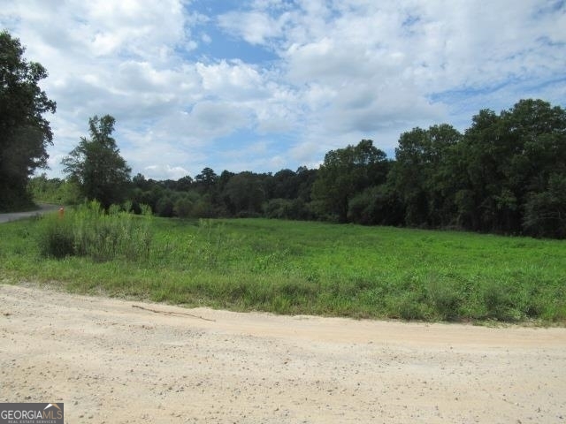 101 Winding Road, Unit LOT 7 Bowdon, GA 30108 - Photo 1 of 1 Gallery Image 1