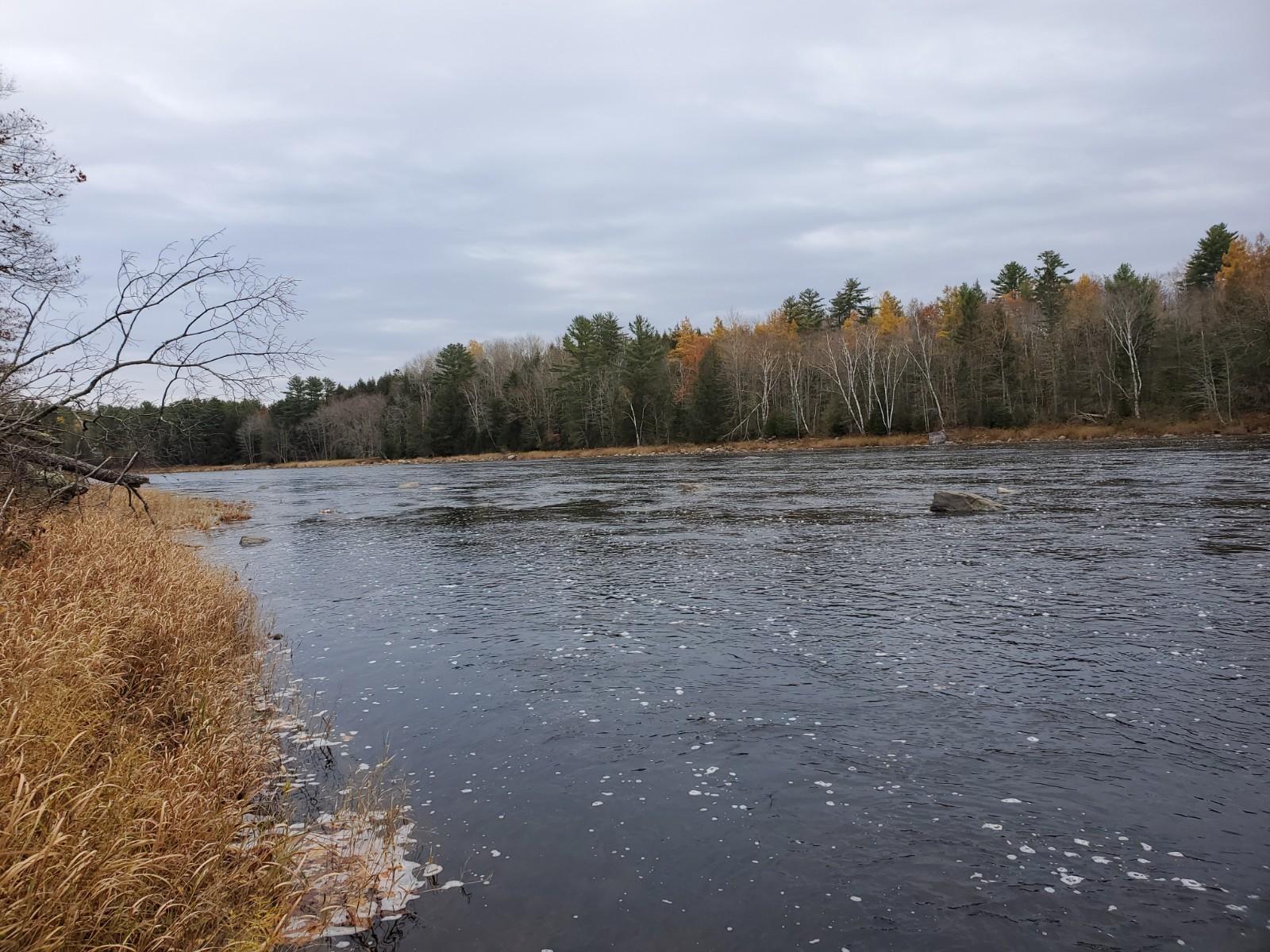 Lot 5 North Howland Road Medford, ME 04463 - Photo 3 of 9 20201028_092742