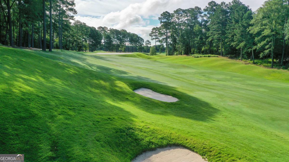 1041 Cedar Ridge Drive Greensboro, GA 30642 - Photo 13 of 17