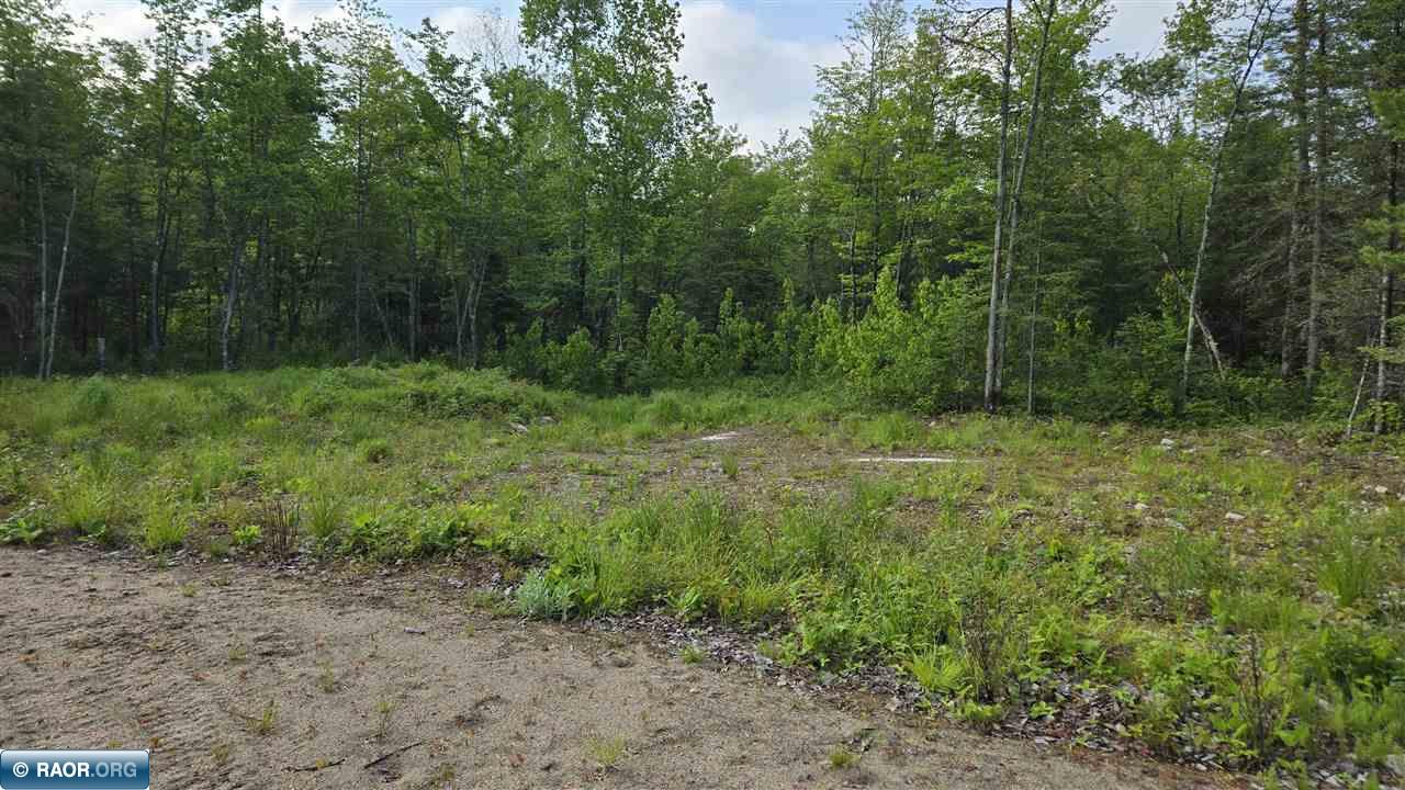 6466 Co Road Buyck, MN 55771 - Photo 14 of 24 Gallery Image 14