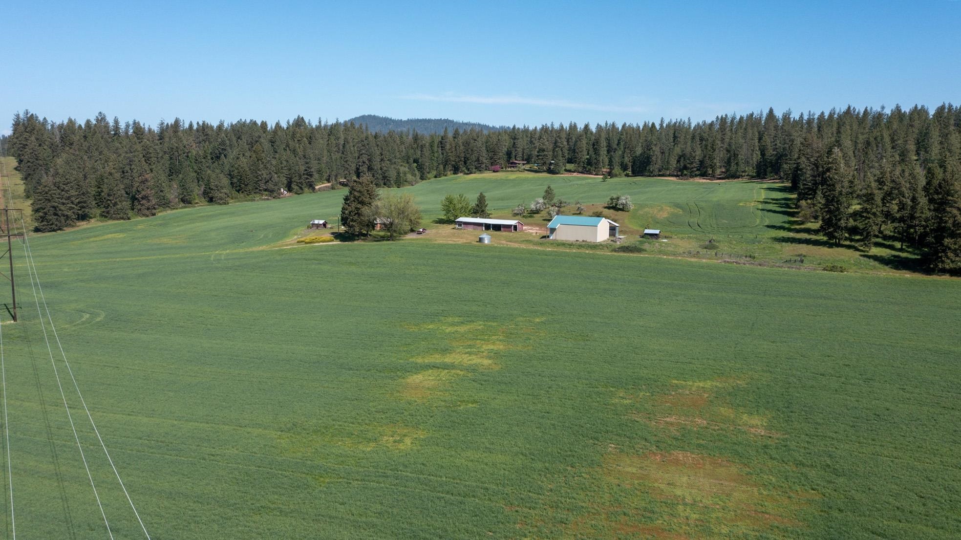 4881 A Carr Road Clayton, WA 99110 - Photo 33 of 44