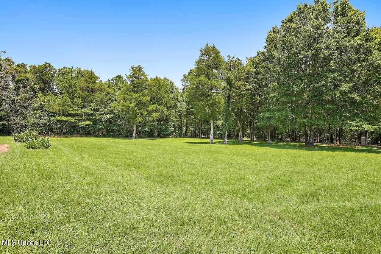 2101 Stump Bridge Road Camden, MS 39045 - Photo 24 of 24 2101 Stump Bridge Rd 34