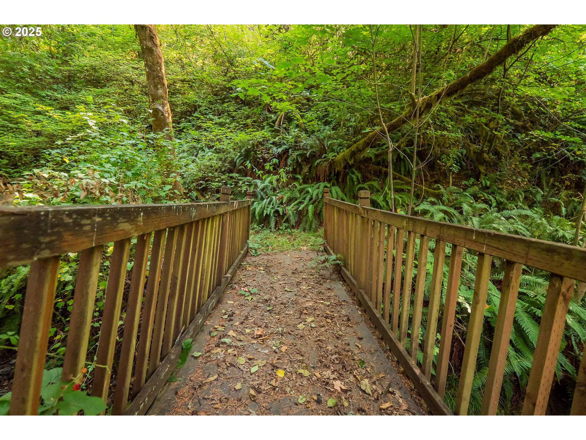 30138 Fox Hollow Road Eugene, OR 97405 - Photo 42 of 47 Gallery Image 42