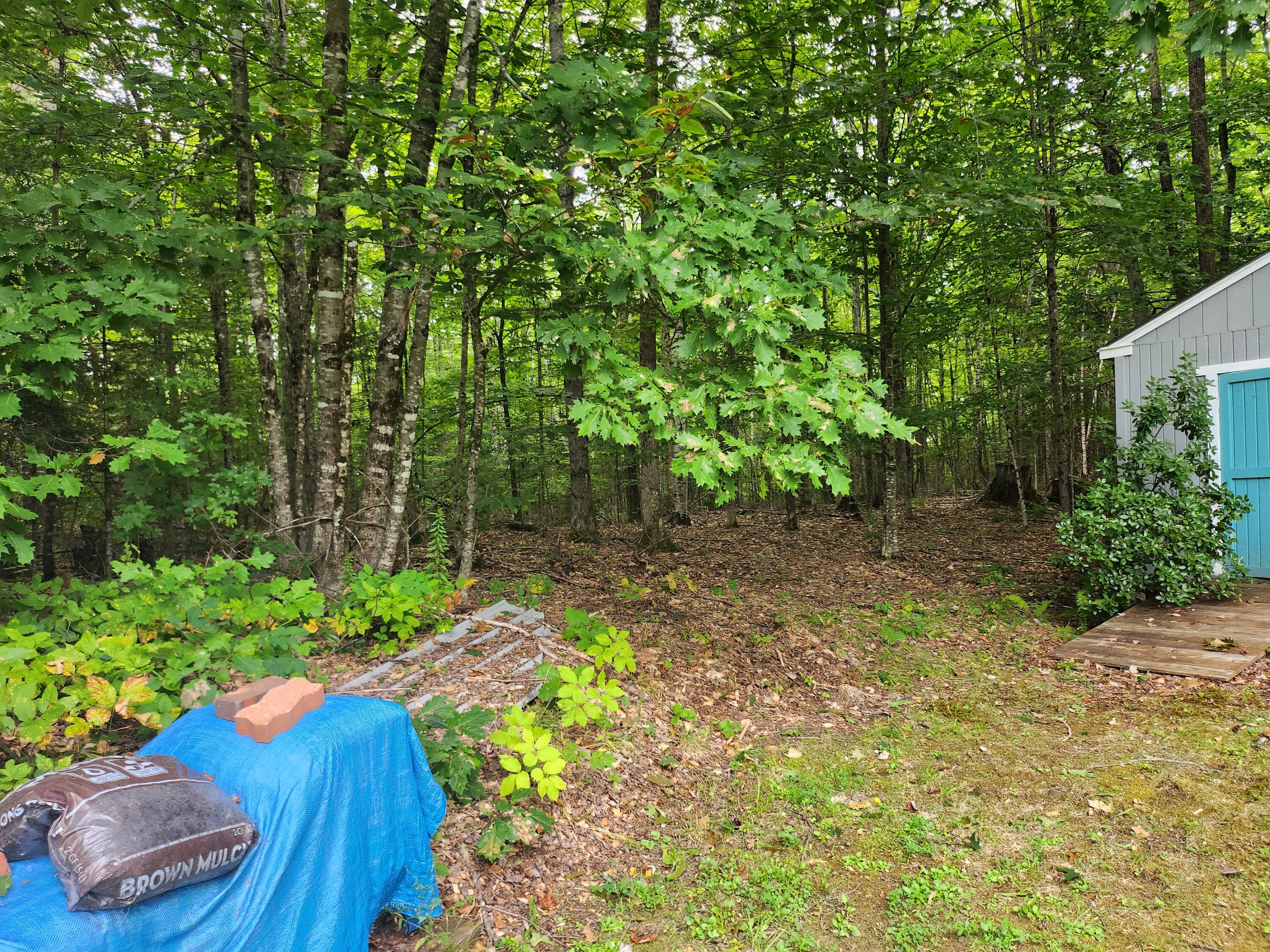 772 Morrill Pond Road Hartland, ME 04943 - Photo 41 of 44 20240819_124858