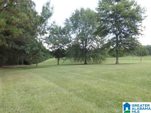 435 Wow Road, Unit 59 Blountsville, AL 35031 - Photo 21 of 49