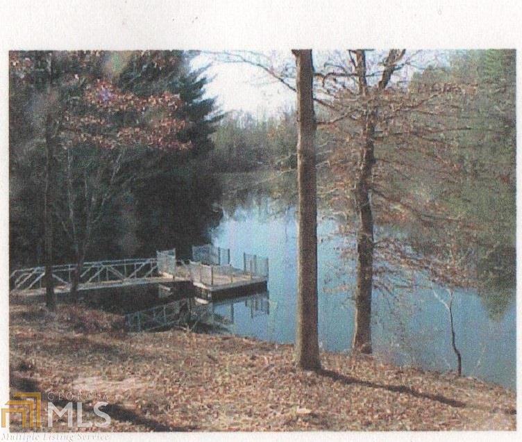 0 Aurum Hill Road, Unit 9 Cleveland, GA 30528 - Photo 1 of 1 a view of a dry yard with trees