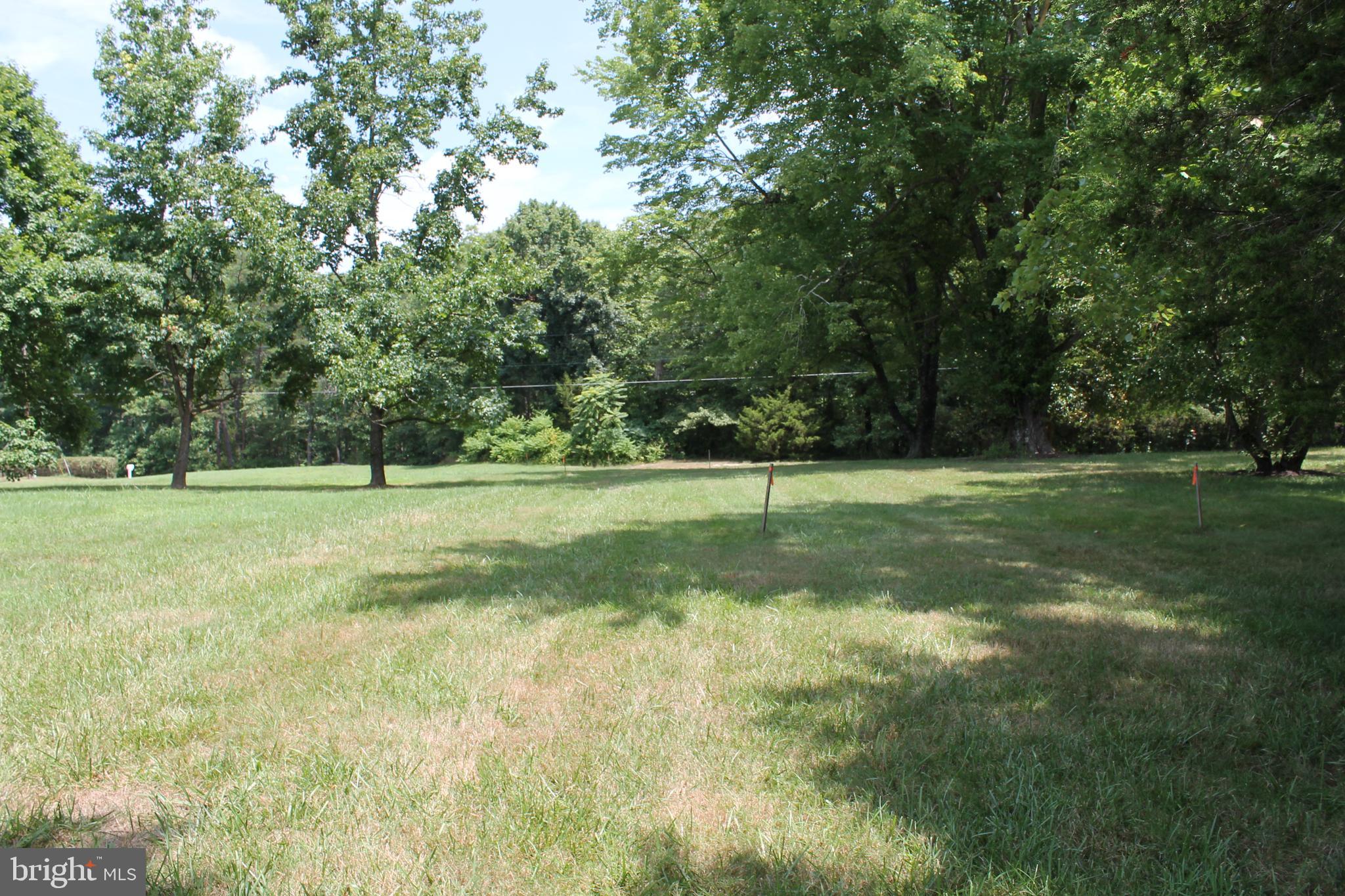 Marye Road Woodford, VA 22580 - Photo 6 of 11 View to the road