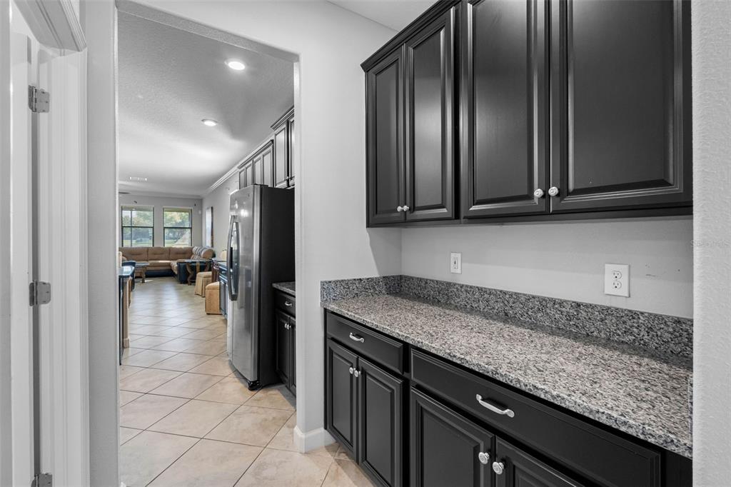 10066 Victory Gallop Loop Ruskin, FL 33573 - Photo 11 of 86