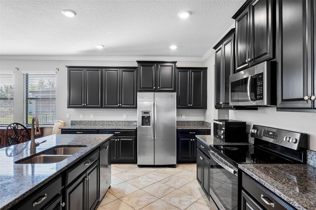 10066 Victory Gallop Loop Ruskin, FL 33573 - Photo 16 of 86